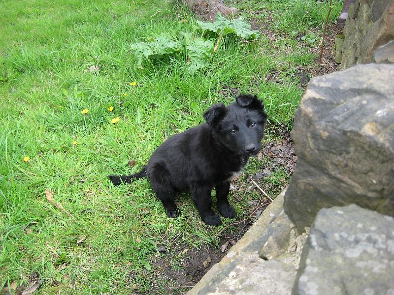 Charlie Spinks 40th 020.jpg